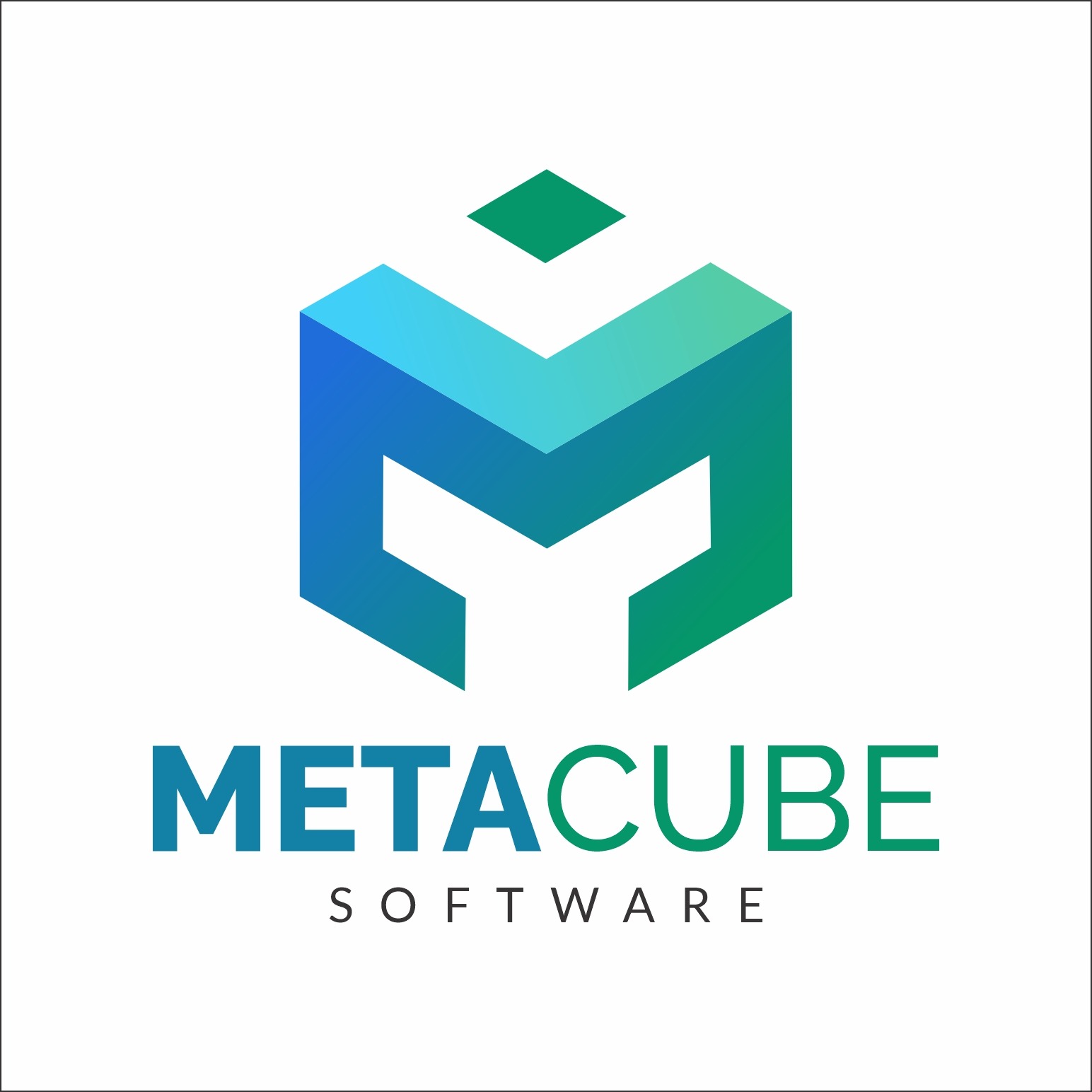 Metacube Software